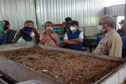 PII Mendukung Pengembangan Maggot di Jogja