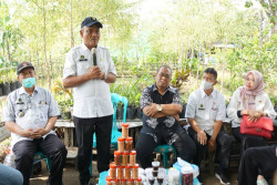 Panen Raya di Lahan Perusahaan Swasta, Kelompok Tani di Blunyahrejo Akan Difasilitasi Pemkot
