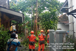 Ini Dampak Hujan Deras di Jogja Semalam, Puluhan Rumah Kena Imbas