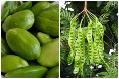 5 Manfaat Pete, Obat Depresi hingga Ringankan Nyeri Haid