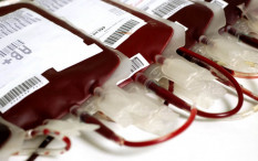 Stok Darah di PMI DIY Awal Pekan Ini
