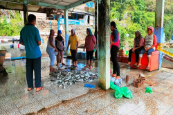 Luar Biasa! Girisibo Jadi Penghasil Ikan Laut Terbesar, Segini Total Volume Tangkapannya