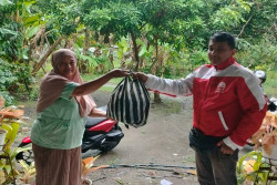 Pelaku UMKM DIY Dimudahkan dengan Layanan Ojek Online