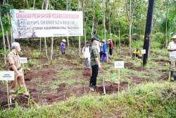 Dua Kalurahan di Gunungkidul Jadi Pusat Budi Daya Pisang Cavendish