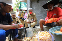 Ganjar Dukung Pemasaran Porang demi Ketahanan Pangan
