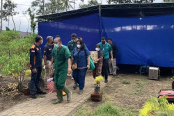 Sampel Autopsi Kakak-Beradik Korban Kanjuruhan Diperiksa Laboratorium Independen