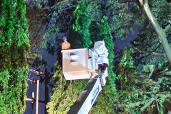 Cuaca Ekstrem Melanda Semarang, PLN Fokus Pulihkan Pasokan Listrik