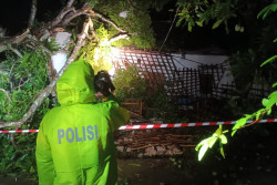 Angin Kencang Landa Kulonprogo, Satu Rumah Rata dengan Tanah Tertimpa Pohon