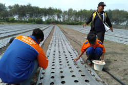 Praktis! Penyiraman Tanaman di Bantul Kini Bisa Dikendalikan lewat Ponsel