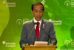 Jokowi Sebut 17 Kepala Negara Hadiri Langsung KTT G20, Termasuk Biden dan Xi Jinping