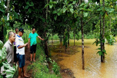 Pemkab Gunungkidul Masih Data Lahan Rusak Akibat Banjir