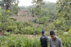 Empat Hari Terkubur Longsor Gunungkidul, Seekor Kambing Ditemukan Masih Hidup