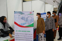 Job Fair Kabupaten Magelang Tawarkan Lebih dari 4.000 Lowongan Kerja