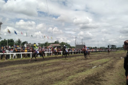 Pacuan Kuda Piala Raja di Bantul Dongkrak Wisatawan