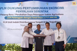 Dukung Pertumbuhan Ekonomi, PLN Nyalakan Serentak 224 Pelanggan di Sektor Agrikultur