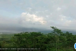 Kolom Erupsi Gunung Semeru Setinggi 1.500 Meter