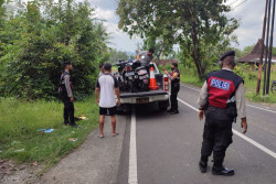 Supra dan Scoopy Adu Banteng di Kulonprogo, 1 Pemotor Meninggal Dunia