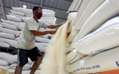 Impor Beras 500.000 Ton dari Empat Negara Ini, Pemerintah Kucurkan Pemerintah Kucurkan Rp4,4 Triliun