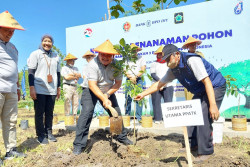 PPATK dan BPD DIY Tanam Pohon Alpukat di Tanjungharjo