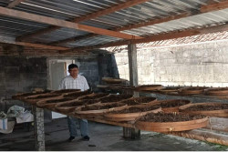 LPPM USD Majukan Jamu Sapta Sari