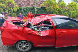 Pohon Tumbang Timpa Mobil Wisatawan di Jalan Parangtritis, Dua Orang Terluka