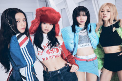 iKon dan Kang Dong-won Hengkang dari YG, BLACKPINK Tidak Ikut