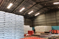 15.000 Ton Beras Impor dari Vietnam Tiba Pekan Depan