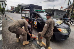 Dirazia Satpol PPP, Manusia Silver Nyemplung Sawah di Prambanan