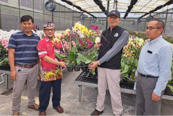 Untidar Panen Raya Anggrek di Kledung Research Park