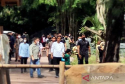 Presiden Jokowi Kagum Melihat Hasil Renovasi Solo Safari: Sangat Bagus