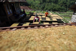 Wow! Dana Bagi Hasil Cukai Tembakau 2023 Tembus Rp5 Triliun