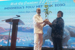 Teguhkan Komitmen Kendalikan Perubahan Iklim, Indonesia Mulai Sosialisasi FOLU Net Sink 2030