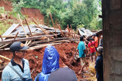Seekor Sapi Mati Tertimbun Longsor di Patuk