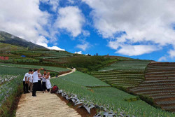 Terasering Sitegong, Surga Alam dengan Latar Gunung Sumbing