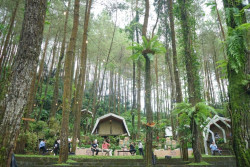 DeLoano Glamping Ajak Tamu Nikmati Musik Fourtwnty di Alam Terbuka