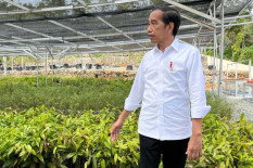 Jokowi: FIFA Akan Bangun Pusat Latihan Sepak Bola di Ibu Kota Nusantara