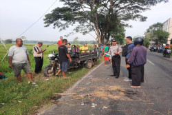 Dihantam Viar hingga Terlempar ke Parit, Pengendara Scoopy Meninggal Dunia