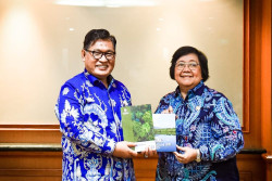 Komnas HAM Singgung soal Perdagangan Karbon, Begini Respons KLHK