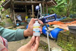 Bukan Hanya Manusia, Ternyata Indukan Lele Juga Diberi Vaksin Booster