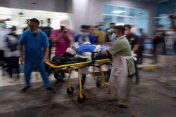 Polda Terjunkan Anjing Pelacak Cari Korban Kebakaran Plumpang