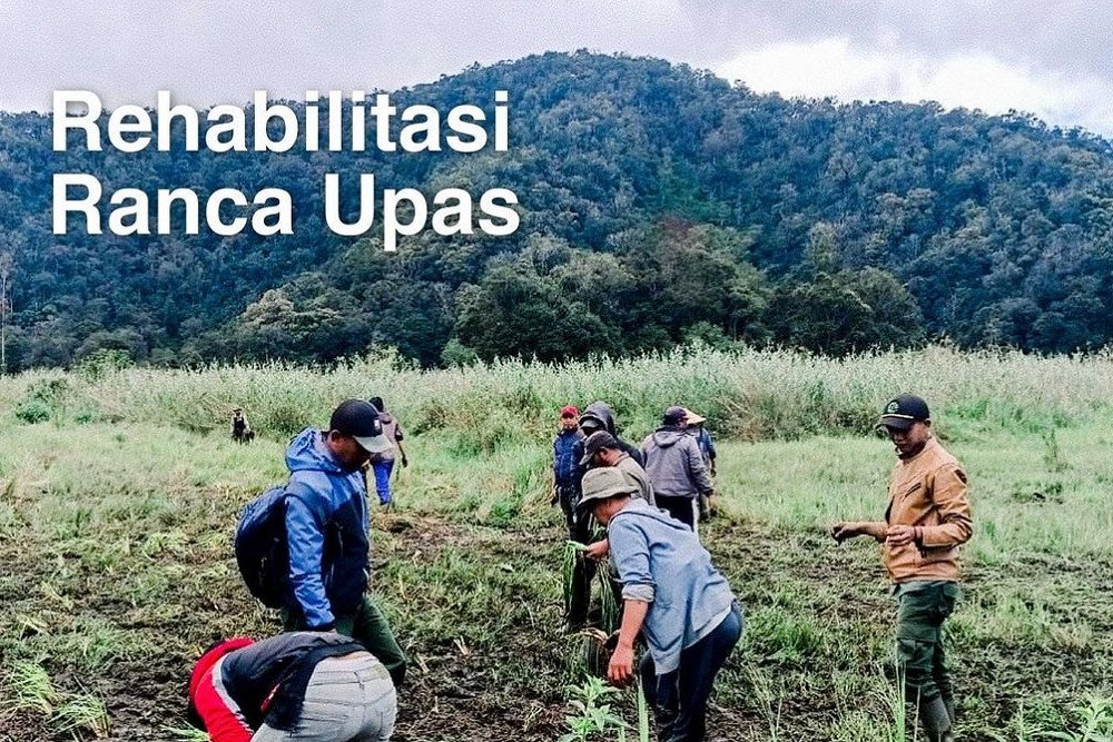 Komunitas Trail Rusak Edelweis, Permintaan Maaf Perhutani Dicibir Warganet