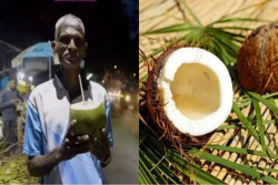 Diet Ekstrem, Seorang Pria Hanya Makan Kelapa Selama 28 Tahun Terakhir