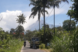 Intensitas Menurun, Merapi Masih Tetap Luncurkan Awan Panas