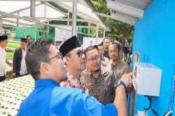 Wujudkan Pesantren Digital Solusi IoT XL Axiata untuk Budi Daya Maggot dan Hidroponik