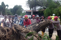 Ini Lokasi Pohon Tumbang dan Baliho Roboh akibat Hujan Angin di Sleman
