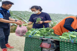 Terpilih Jadi Pemuda Pelopor Kota Jogja, Begini Cara Gista Membantu Petani