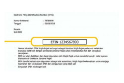 Ingat! Deadline SPT Tahunan 31 Maret, Ini Cara Dapatkan EFIN Pajak