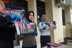 Polisi Sita 11 Kg Bubuk Mercon di Kalasan
