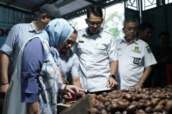 Produktivitas Salak Sleman Dibahas Bersama Kementerian Koordinator Bidang Perekonomian
