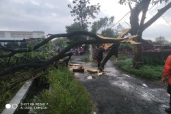 Bantul Dilanda Hujan dan Angin Kencang, Sebabkan 25 Titik Bencana
